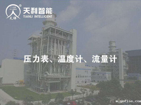 江苏国信靖江发电有限公司案例