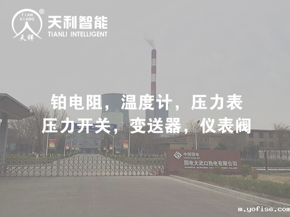 国电大武口热电有限公司2*350MW热电联产机组扩建