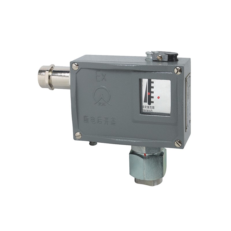 501/7D防爆型压力开关/压力控制器