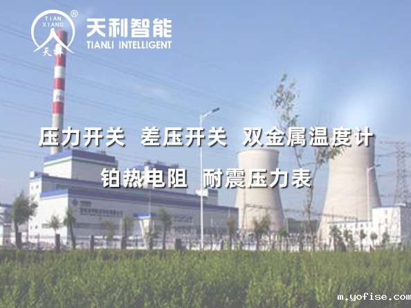 国电吉林龙华长春热电一厂2*350MW超临界机组给水