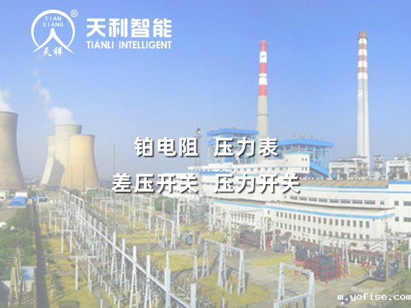 茂名热电厂1*600MW机组工程