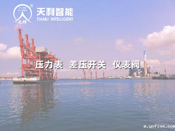 广东粤电茂名博贺电厂2*100万千万上大压小工程