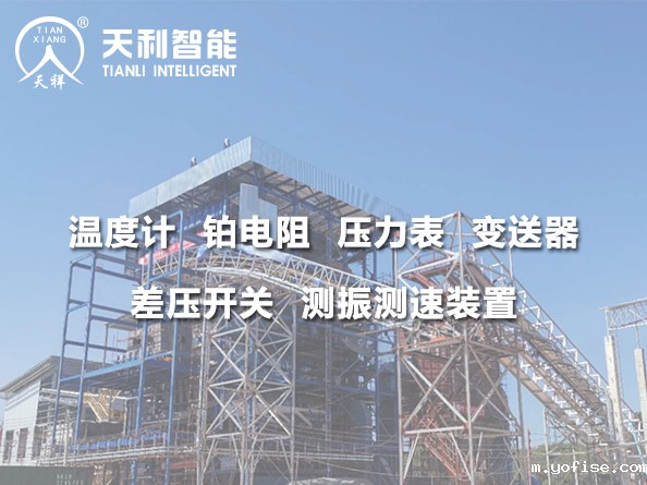 泰国生物质电站PP9号机组1*150MW机组建设工程