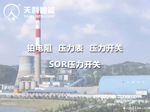 贵州华电桐梓发电有限公司2*600MW机组项目